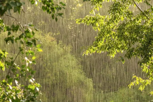 Dense fog hits North, hailstorm in Northeast and rain in South India