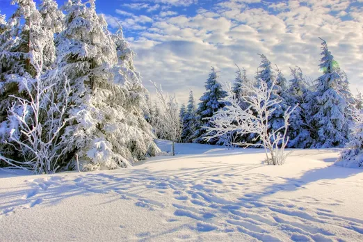 No coats or thick clothing: this is the right way to keep warm