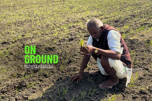 Farmers crop destroyed with fake pesticides and fungicides in Madhya Pradesh
