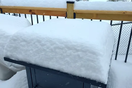 Winter Storm 1