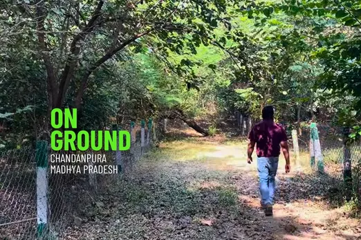 Chandanpura Urban forest is threat to tigers and human