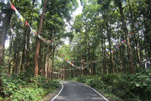 Dehradun: 2000 trees will be cut in Khalanga forest to make a reservoir
