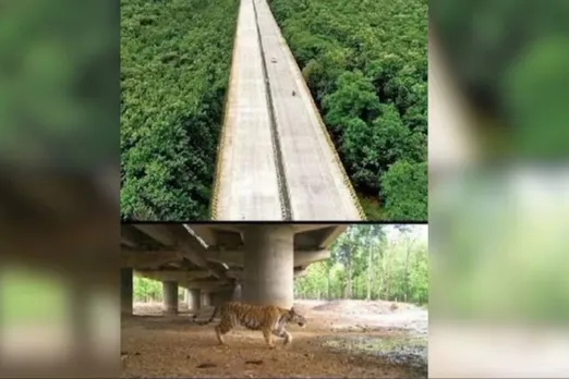Anand Mahindra shares pictures of wildlife corridor built in Pench Tiger Reserve