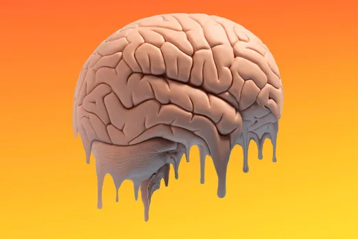 Climate change poses grave threat to brain health: study