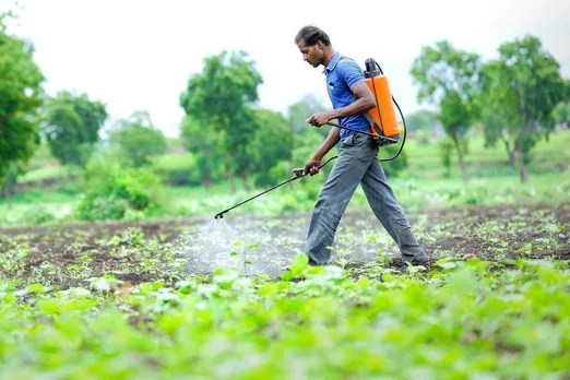 chemical pesticides
