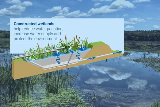 Constructed wetlands can provide a solution for wastewater treatment