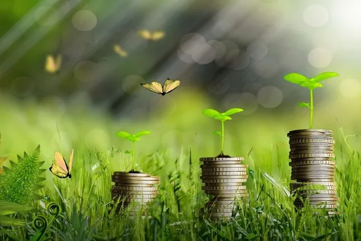 Greenhushing: what is it and why do companies do it?