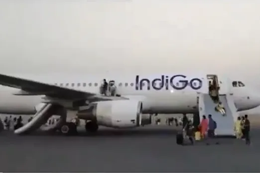 indigo