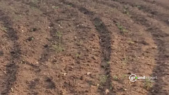 soil