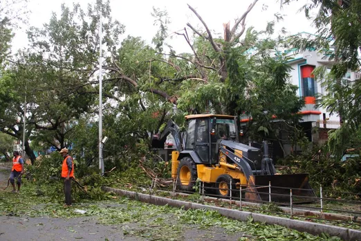 Hit by cloud burst about 50000 trees uprooted in Telangana67