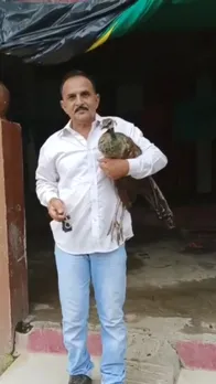 narayan singh