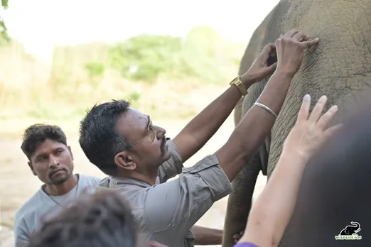 Wildlife SOS Hospital Treats Baby Elephant Injured in Train Accident