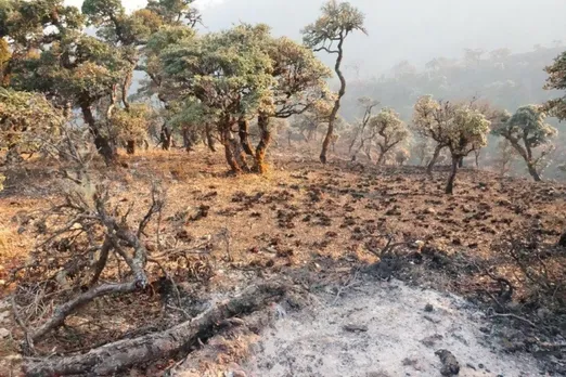 Human activities linked to increase fires in Africa's wet forests