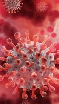 Virus