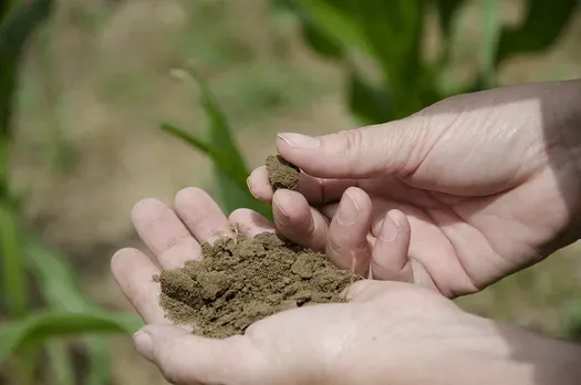 Temperatures are rising, but soil is getting wetter, why?