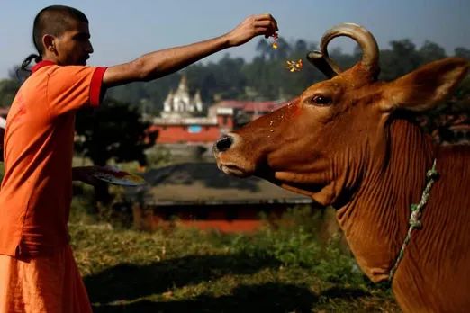 गौमाता कैबिनेट और गौ टैक्स मध्यप्रदेश