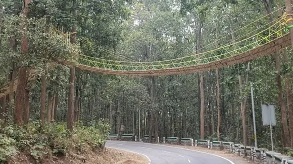 Wildlife Conservation: Building a unique bridge for reptiles in Uttarakhand