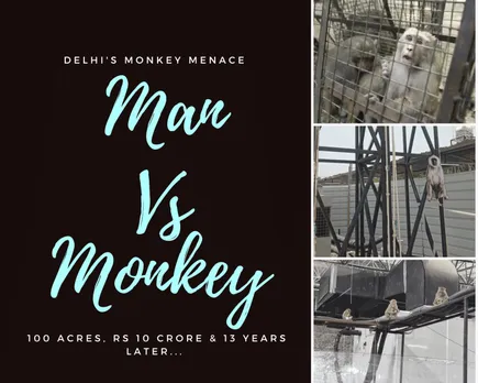 Man vs Monkey: Delhi's Theater of Absurd