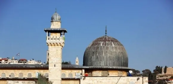 Poetry about Palestine "I worship them and protect them from the wind"