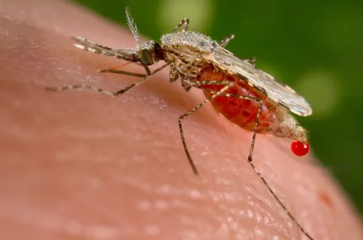 China got victory over malaria