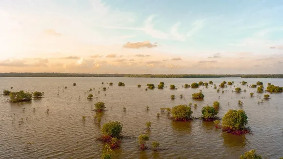 Flood risk may increase up to 50 times in coastal areas: Study