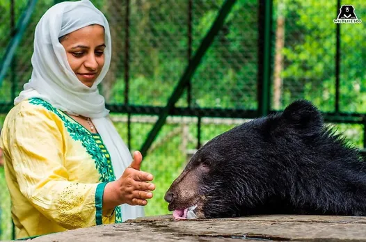 Aaliya Mir: From math teacher to save leopards and other wildlife