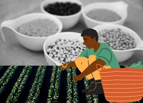 Soybeans are the main obstacle to self-sufficiency in Indian pulses!