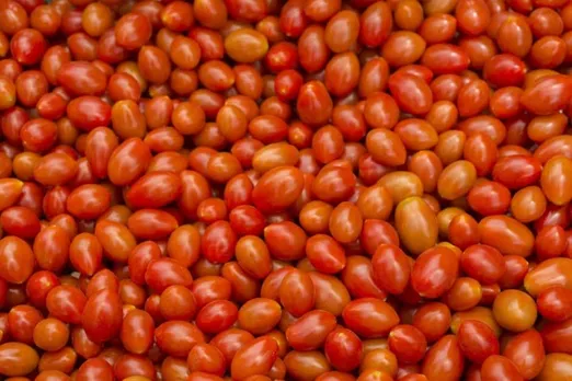 Tomato prices in India will continue to rise: Crisil Research