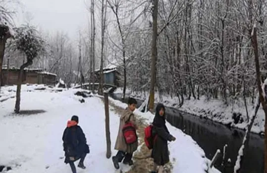 Cold wave grips Kashmir, weatherman forecast more dip in temperatures 