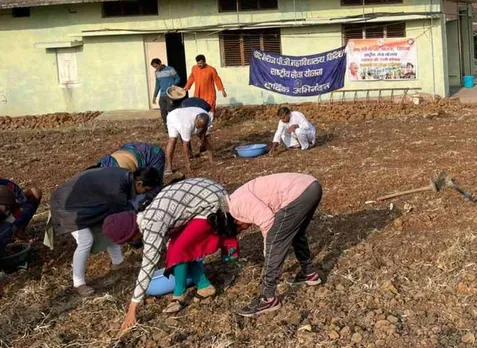 Abibabad farmers doing chemical free farming