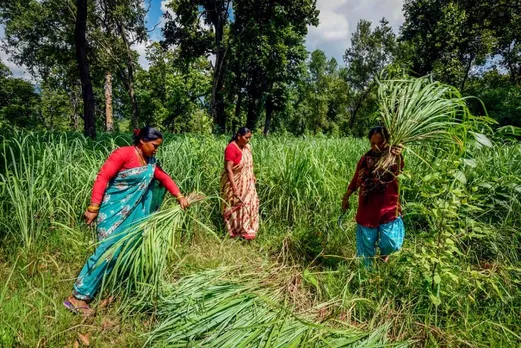 Rural Women from Jharkhand Benefit Through Lemon Grass Cultivation