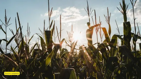 Climate Change Impacts on Madhya Pradesh's Agriculture sector