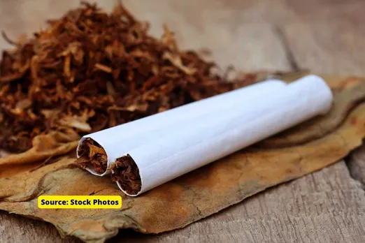 Tobacco consumption fuels Climate Change: Every 15 cigarettes cost 1 tree