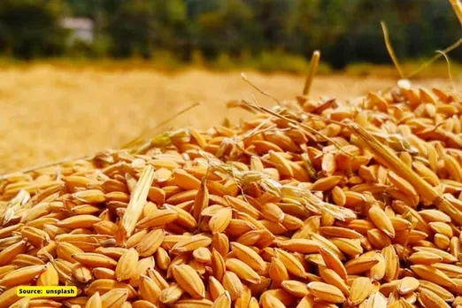 India bans wheat exports with immediate effect