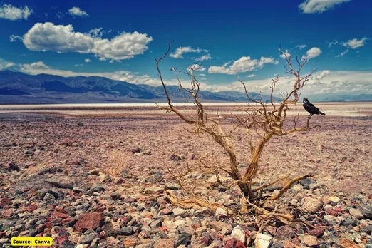 Effects of extreme heat & drought will affect 90% of population