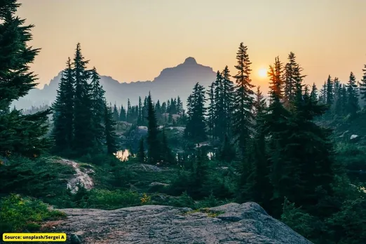 Mountain forests are disappearing at an alarming rate