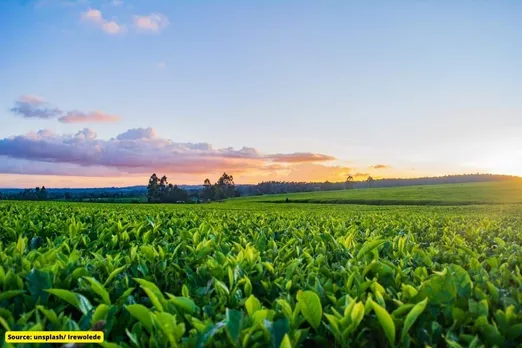 Less air pollution will increase agricultural production by 8% in India: Study