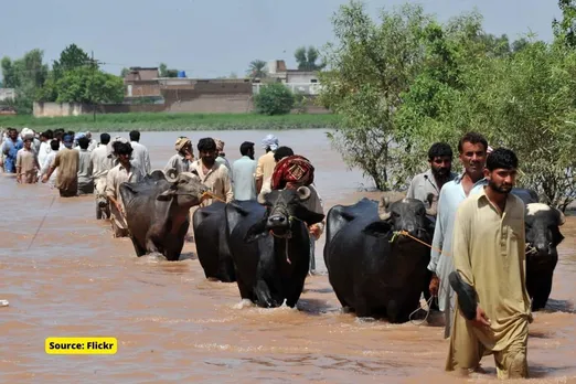 How Hindu community is helping flood victims in Balochistan?
