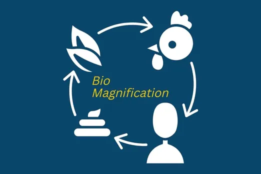 #Explained: What is bio-magnification?