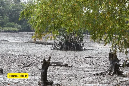 #Explained: Nigeria Oil Spill Crisis