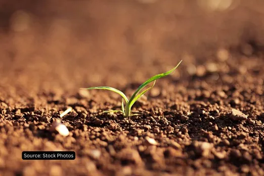 Why soil matters and ways to #SaveSoil?