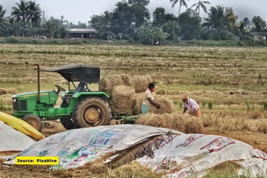 Fodder crisis in India: The reality of the promise of central govt