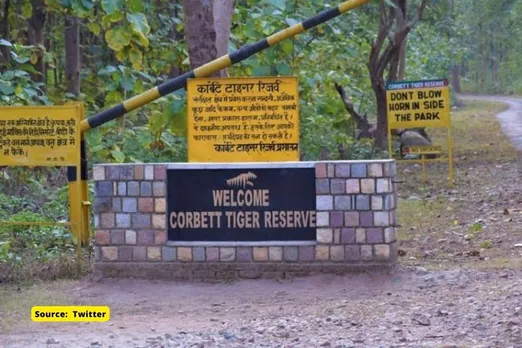 6000 trees illegally cut by Uttarakhand govt in Corbett tiger reserve