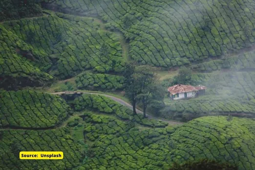 What were the suggestions of Kasturirangan panel to save Western Ghats?