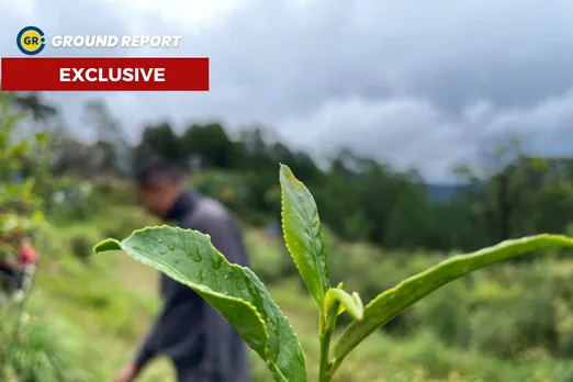 Story of Chandrashekhar Pandey who left Mumbai to do organic farming in Bageshwar