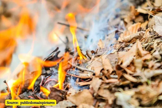 Environmental cost of burning leaves in Autumn, what can you do?