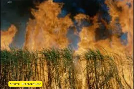 Sugarcane ethanol causes air pollution, Why we are producing it then?
