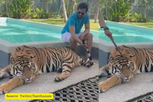 Actor Santhanam shares video of himself with tiger, Netizens outraged