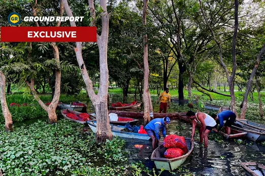 Chestnut farming is the livelihood of Bhopal's Fishermen