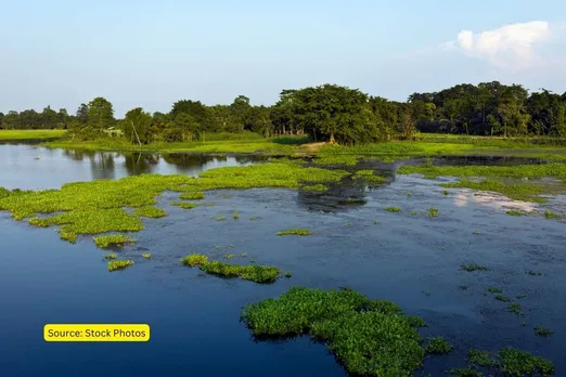 Is the 233 crore project restoring the island of Majuli, Assam?